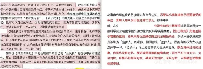 对话举报蒋方舟当事人：“新线索”到底是什么？