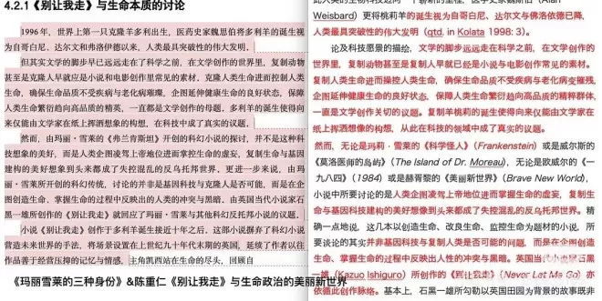 对话举报蒋方舟当事人：“新线索”到底是什么？
