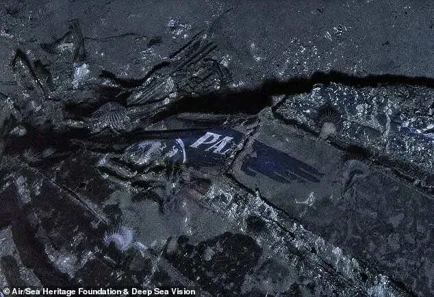 52人死亡! 飞机迫降海面后找不到救生衣 乘客绝望溺亡 残骸被找到!