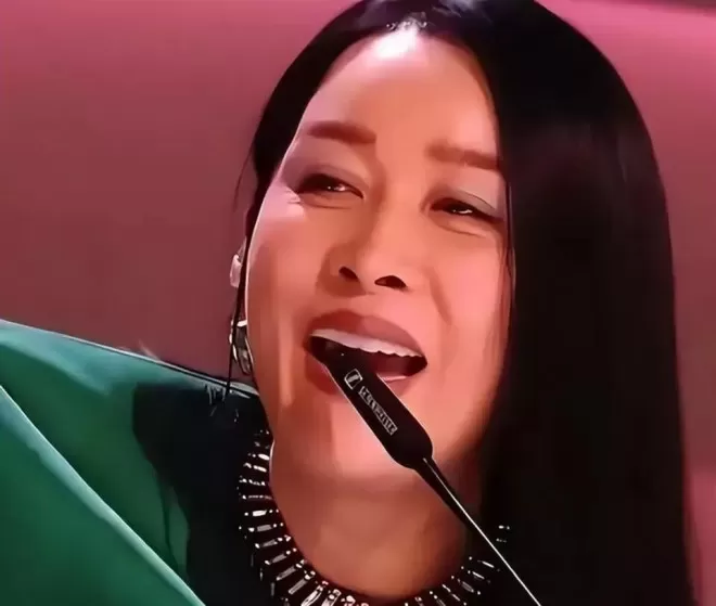 那英18岁儿子一出手,竟挽回她在前夫高峰面前丢掉的尊严
