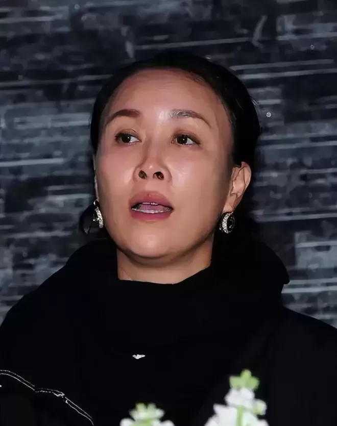 那英18岁儿子一出手,竟挽回她在前夫高峰面前丢掉的尊严