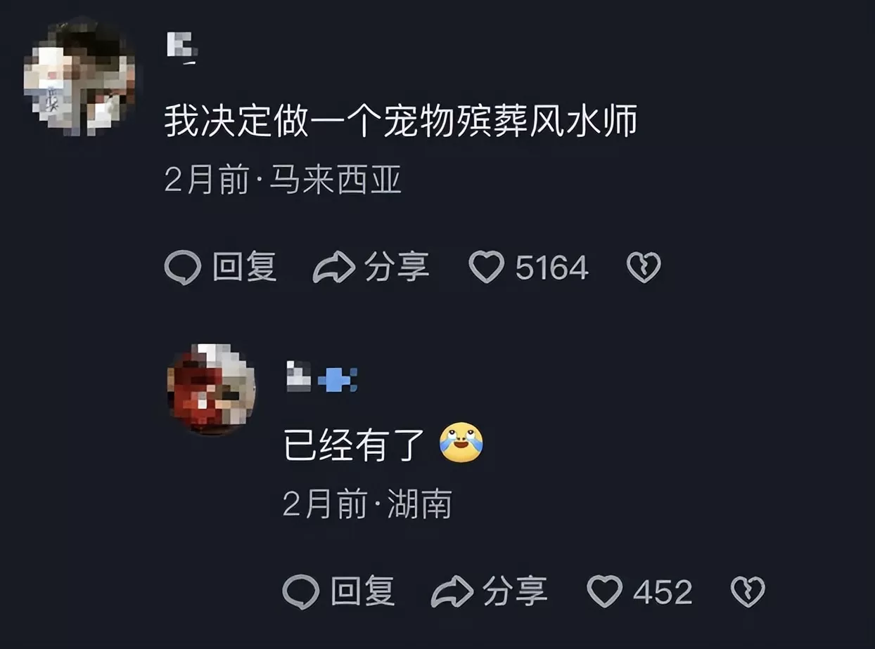 给宠物上坟，让我月入81万