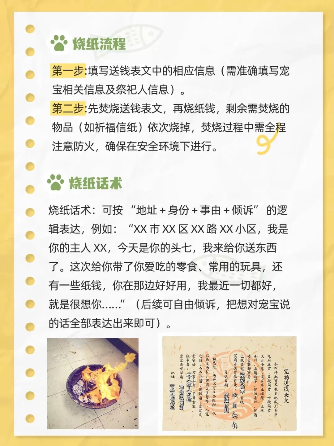 给宠物上坟，让我月入81万