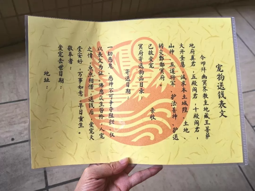 给宠物上坟，让我月入81万