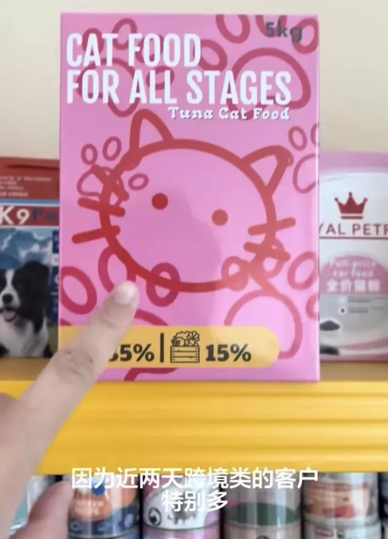 给宠物上坟，让我月入81万