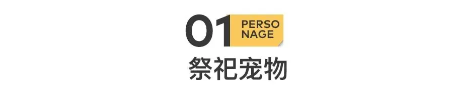 给宠物上坟，让我月入81万