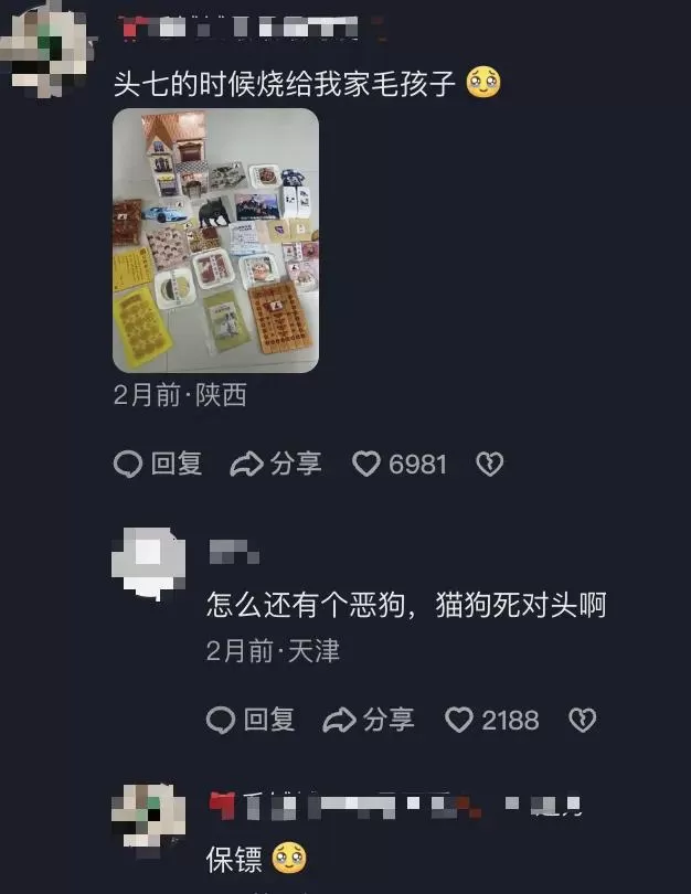 给宠物上坟，让我月入81万