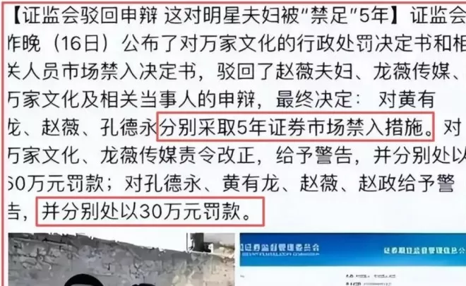 赵薇背后的男人浮出水面，黄有龙迎来最终结局