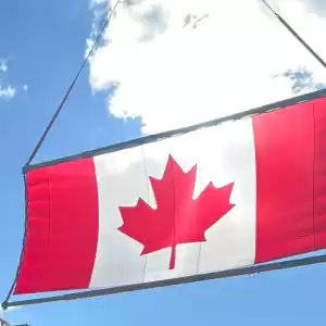 回应美国关税威胁, 渥太华市政厅罕见悬挂巨型枫叶旗