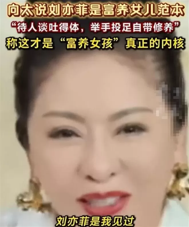 向太曝刘亦菲私下人品，与陈金飞关系真相大白