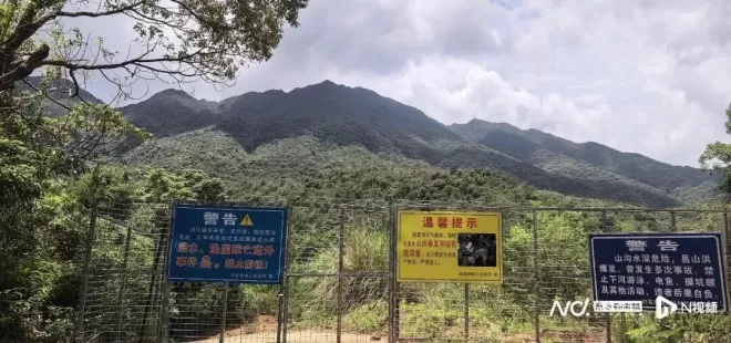“游客脚滑，大动脉被树枝插穿身亡，年仅40岁”