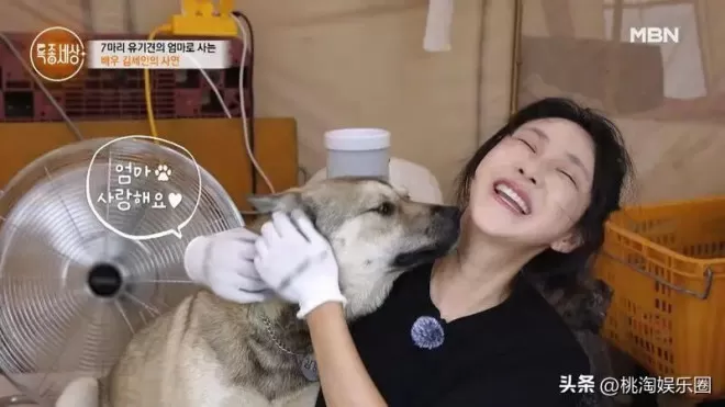 37岁韩剧女星自曝送外卖谋生:曾被逼拍19禁,陪酒