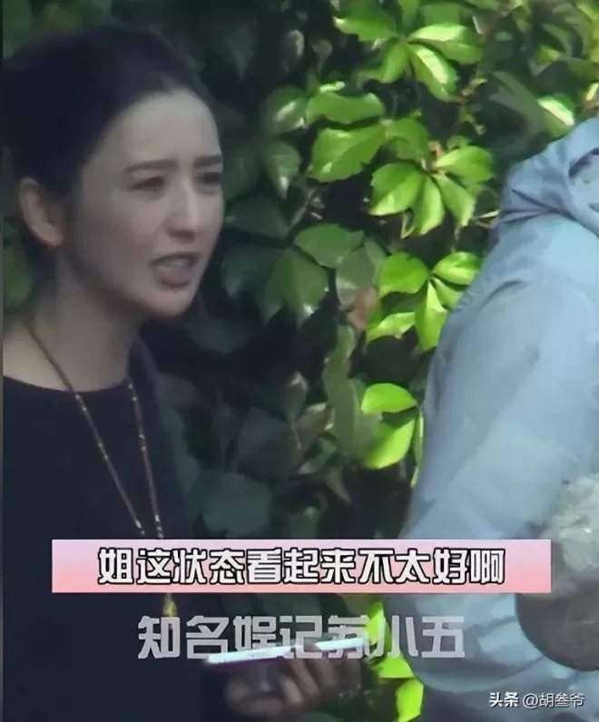 佟丽娅跟陈思诚父母聚会！陈妈妈打扮浮夸好富态