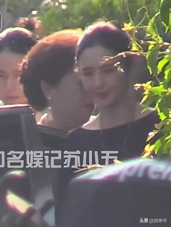 佟丽娅跟陈思诚父母聚会！陈妈妈打扮浮夸好富态