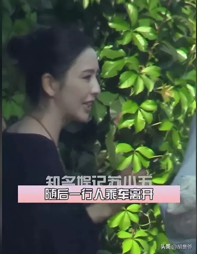 佟丽娅跟陈思诚父母聚会！陈妈妈打扮浮夸好富态