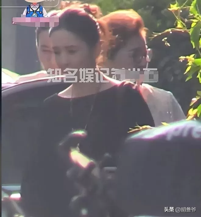 佟丽娅跟陈思诚父母聚会！陈妈妈打扮浮夸好富态