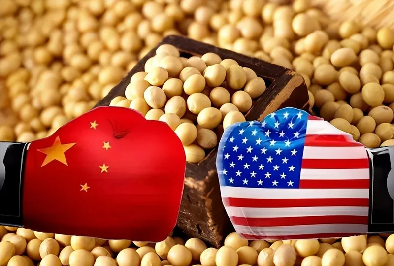 对华出口暴跌40%!一夜回到解放前的美国大豆爆仓