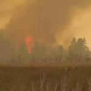 BC省山火失控 有建筑物被毁 数百居民紧急撤离