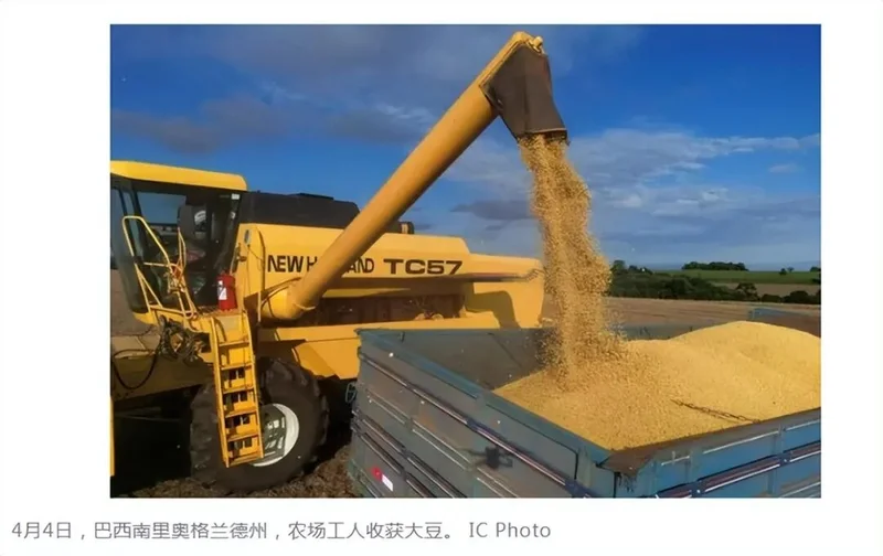 对华出口暴跌40%!一夜回到解放前的美国大豆爆仓