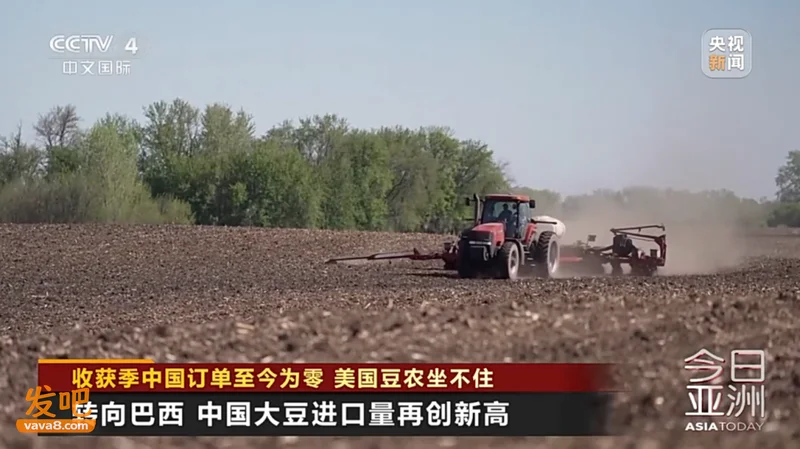 对华出口暴跌40%!一夜回到解放前的美国大豆爆仓