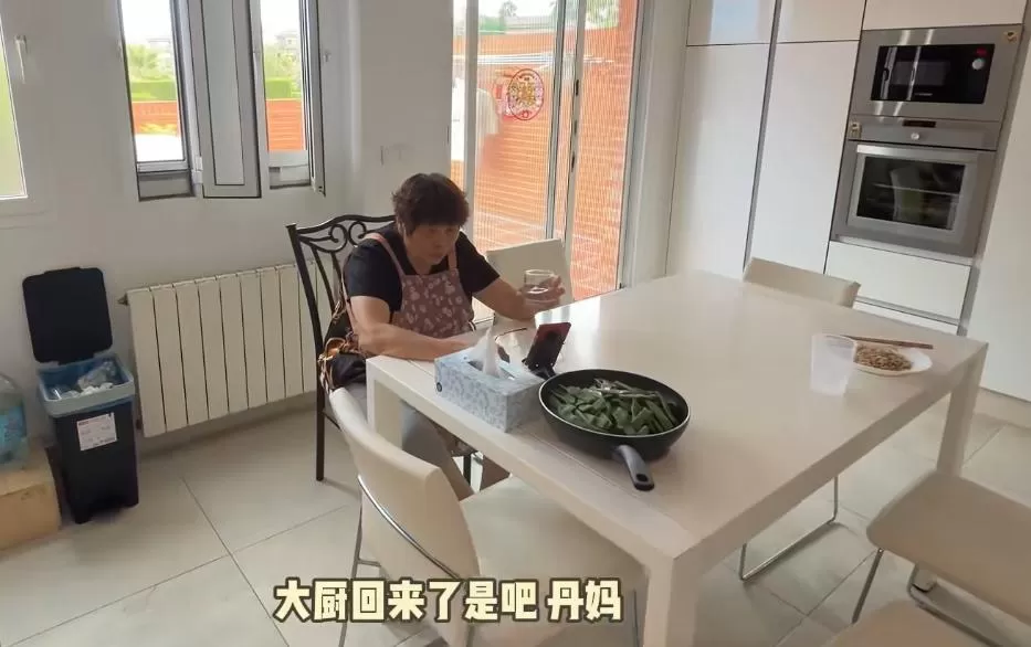 林丹一家4口住西班牙别墅，买了2辆豪车，比邹市明有钱生活安逸