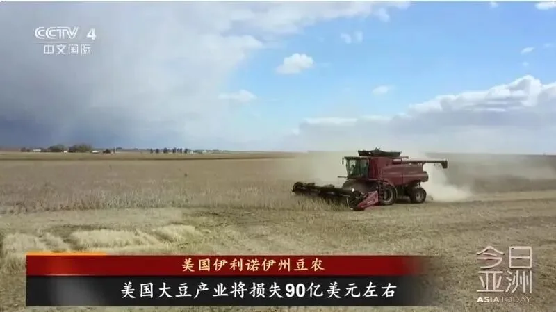 对华出口暴跌40%!一夜回到解放前的美国大豆爆仓