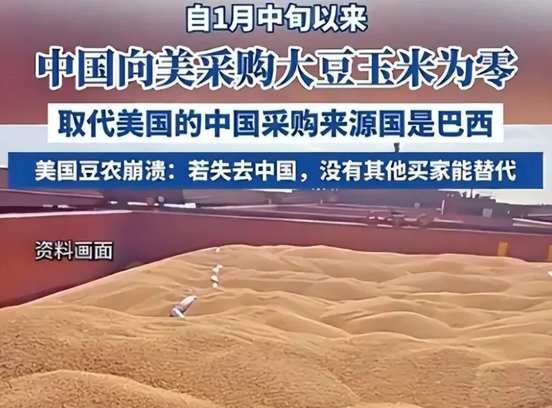 对华出口暴跌40%!一夜回到解放前的美国大豆爆仓