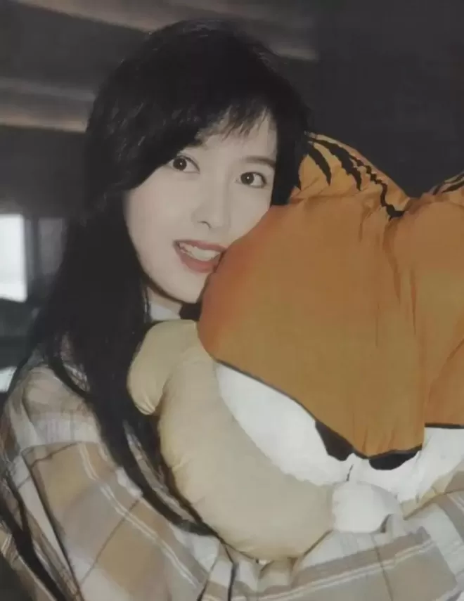 王祖贤出售20岁肖像权,当年的港圈美人现状各有千秋