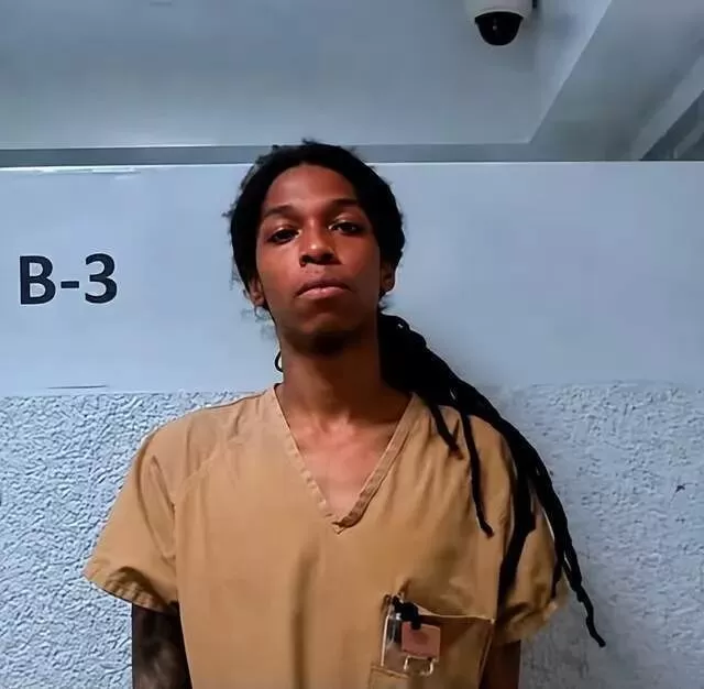 父亲发现11岁女儿惨遭性侵，上网假扮引诱罪犯到家中