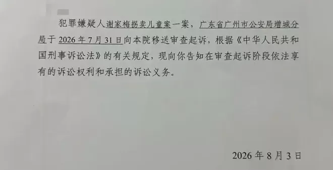 梅姨其实是“媒姨”，她以媒人的身份居住在村里