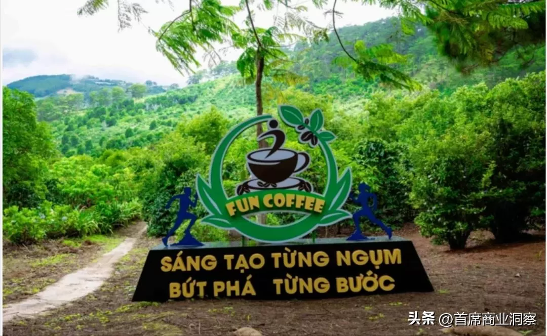 又一资金盘暴雷！香港爆咖啡骗局，年息222%，超200人被骗过亿