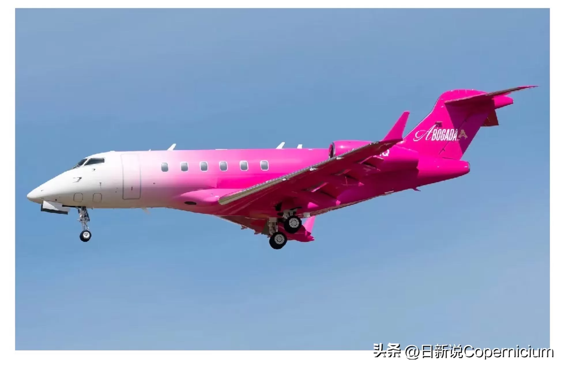冒充圣母骗4亿？54000人绿卡梦碎，她驾粉色飞机逍遥，6人遭遣返