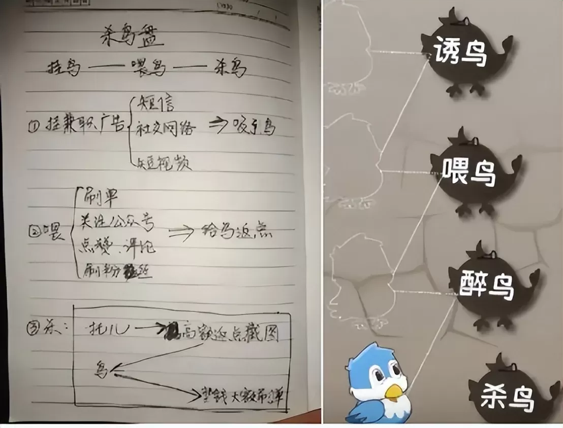 杀鸟盘：专盯已婚妇女，用几块钱买走个人全部尊严，有多可怕？
