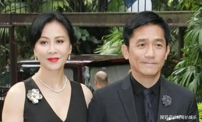 向太揭秘港圈冻龄真相，男神吊打内地同龄人，靠的不是自律是狠活
