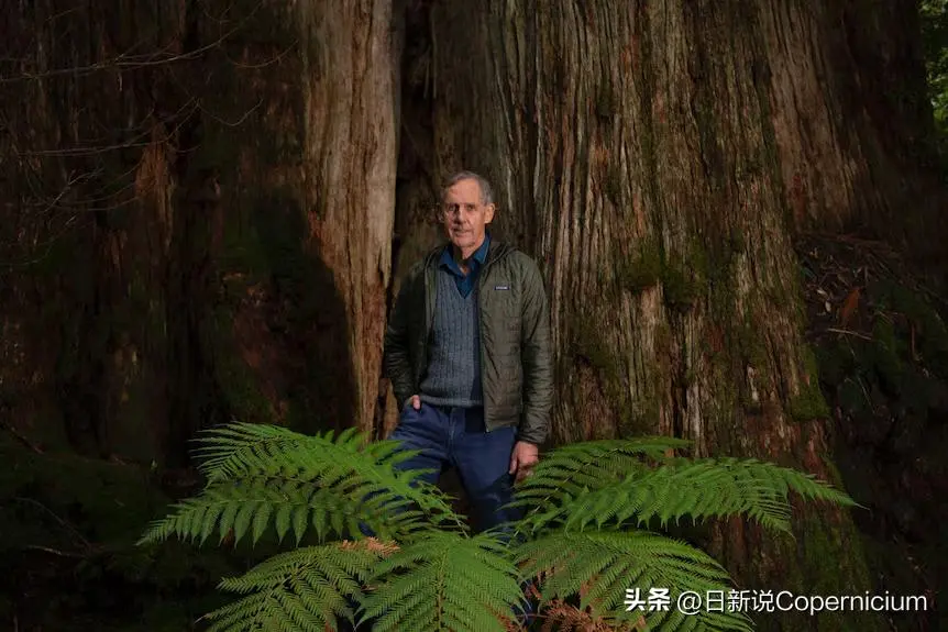 结果早就内定了？加拿大新法被批只剩走流程，官方罕见承认