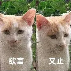 Anthropic CEO整天神神叨叨，投资人受不了了