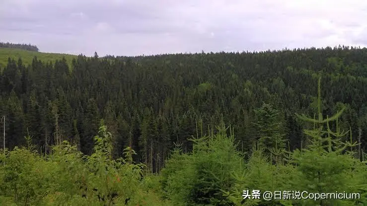 结果早就内定了？加拿大新法被批只剩走流程，官方罕见承认