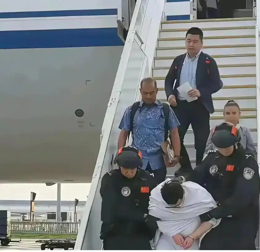 雅典娜容貌出众，绑匪为何选择撕票，放弃倒卖牟利的机会？