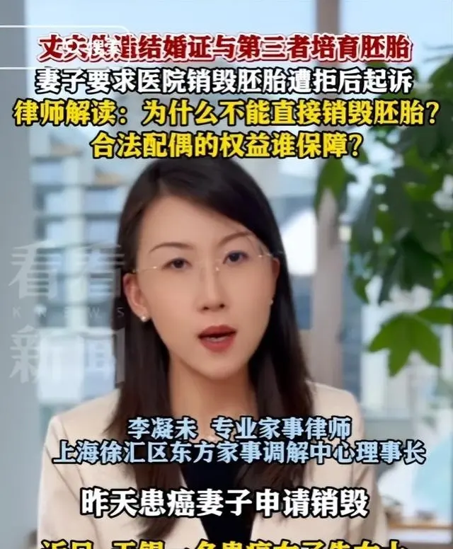 婚外胚胎案小三身份曝光:小学学历 、姐姐也傍大款