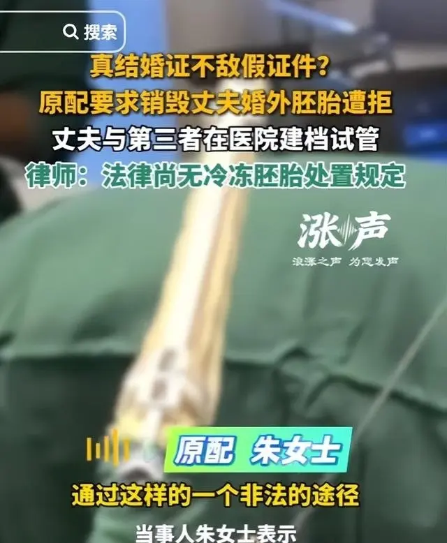 婚外胚胎案小三身份曝光:小学学历 、姐姐也傍大款