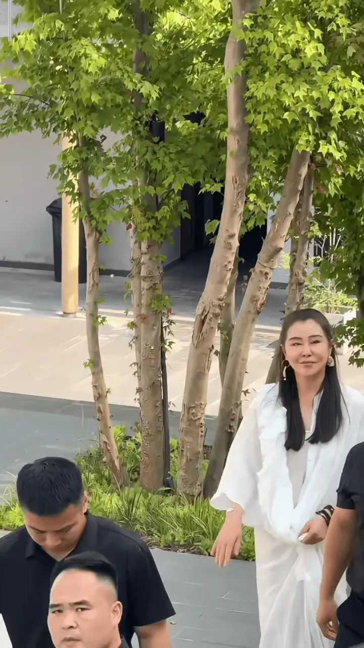 王祖贤要求粉丝专页停更新   外貌常被讨论认难接受负评   传将复出除口罩示人