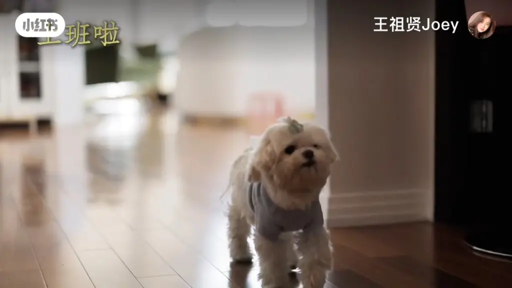 王祖贤要求粉丝专页停更新   外貌常被讨论认难接受负评   传将复出除口罩示人