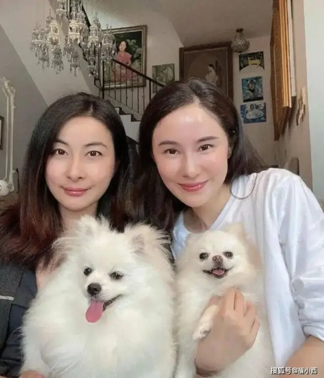 郭晶晶和闺蜜在豪宅里聚会！穿深V领衬衫配齐肩发，随意又松弛！