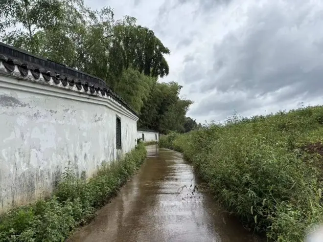 起底如是书院创始人家族生意:其子其妹也涉足教育