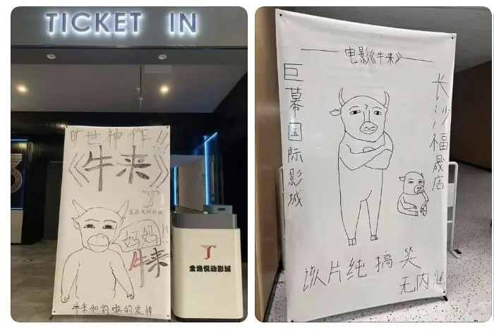 谁在看“牛来”？青少年最爱、40岁以上也捧场 票房破人民币2441万