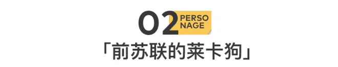 90后新首富：英语28分，身价1300亿....