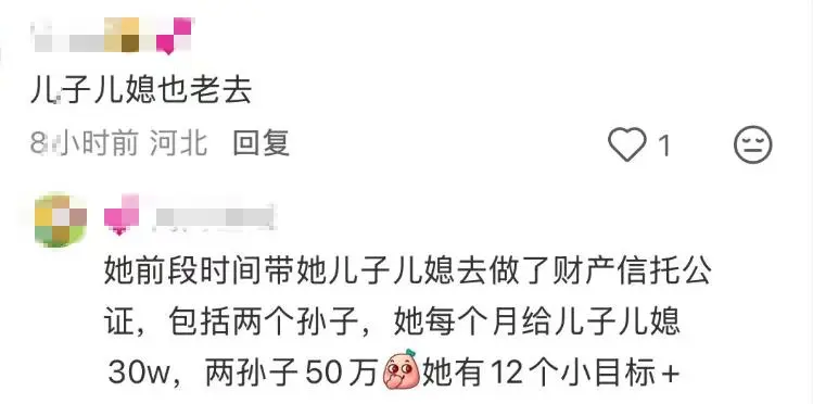 65岁宋丹丹被曝做财产公证，有12个小目标的她，每月给儿子家80万