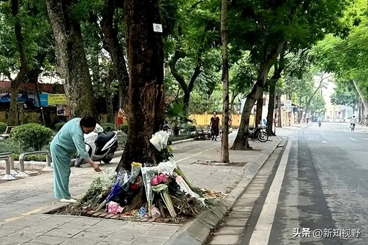 越南前高官撞死少女细节曝光，部长夫人竟在现场弃人不顾？