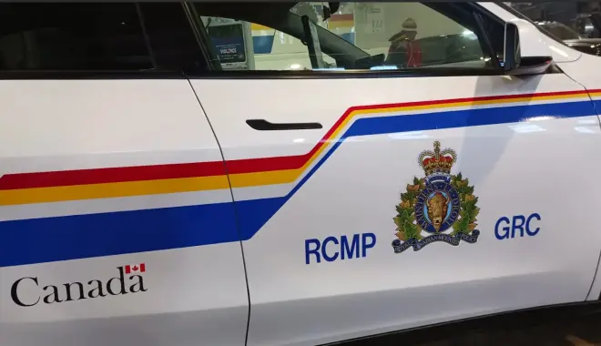 加拿大小型飞机紧急迫降公路撞多辆汽车：1人死亡多人受伤