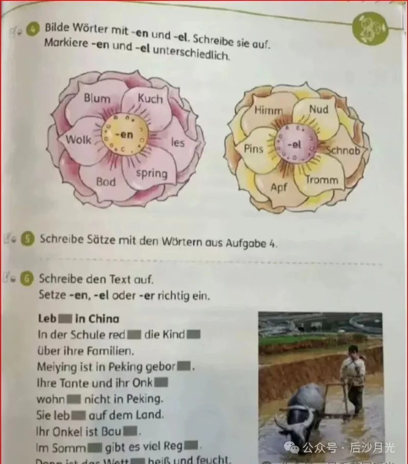 德国课本称中国人上班靠自行车、耕地靠牛